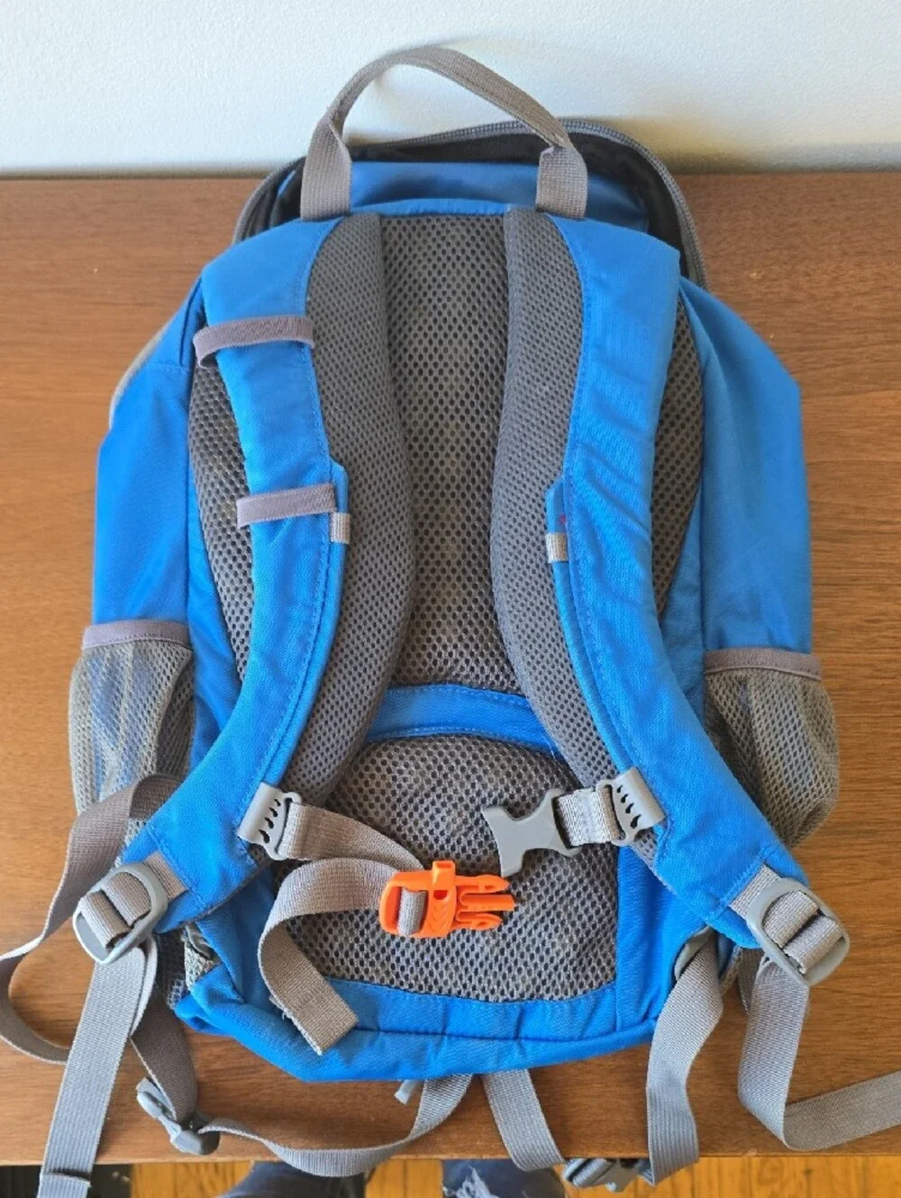 REI Sprig 12 Blue Kid's Daypack Backpack - Lightweight Outdoor Pack